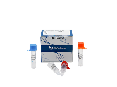 Bartonella Real Time PCR Kit