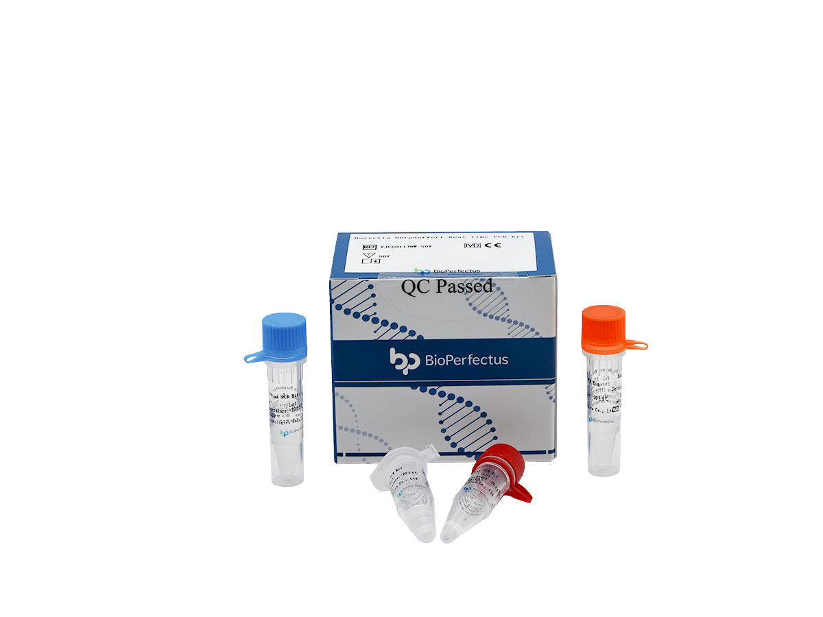 BioPerfectus Borrelia Burgdorferi Real Time PCR Kit