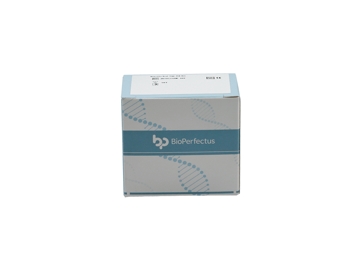 BioPerfectus Brucella Real Time PCR Kit