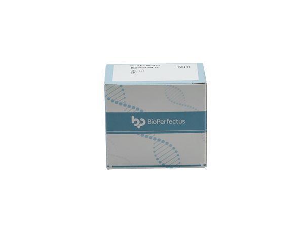 BioPerfectus Brucella Real Time PCR Kit