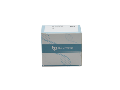 Brucella Real Time PCR Kit