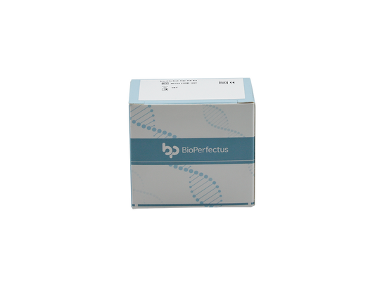 Brucella Real Time PCR Kit