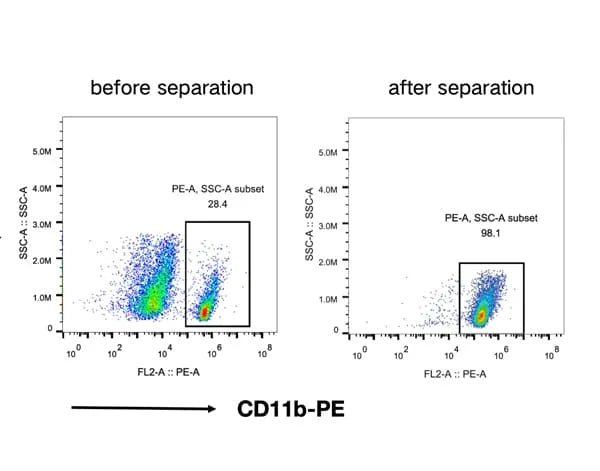 CD11b+(Microglia) cell separation Kit
