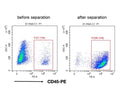 RWD Mouse CD45+ Cell Separation Kit