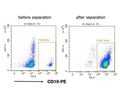 Human CD19+ Cell Separation Kit (RUO)