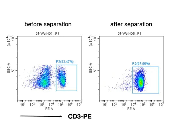 Mouse CD3+ Cell Separation Kit