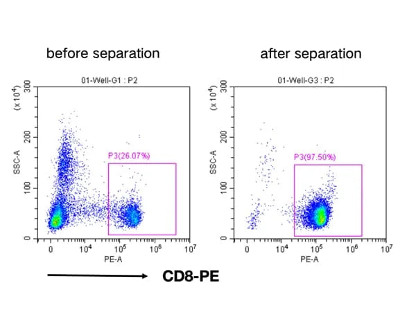 Human CD8+ Cell Separation Kit(RUO)