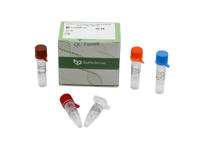 BioPerfectus COVID-19 Coronavirus (ORF1ab/N/E) Real Time PCR Kit