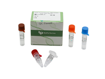 COVID-19 Coronavirus (ORF1ab/N/E) Real Time PCR Kit