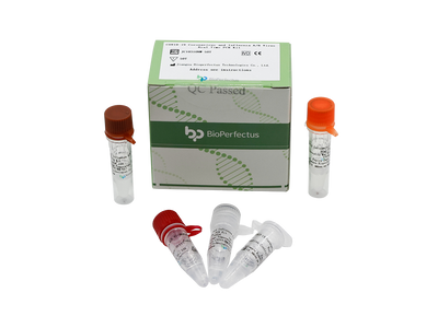 COVID-19 Coronavirus and Influenza A/B Virus Real Time PCR Kit