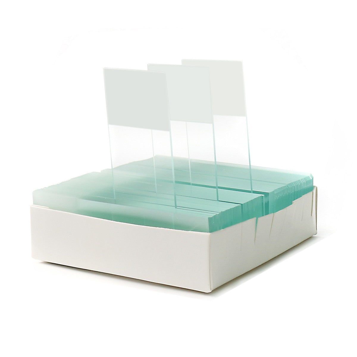 Citotest Microscope Slide – Double Frosted