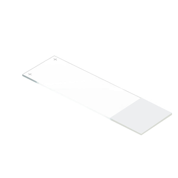 Citotest Microscope Slide – Positive Charged