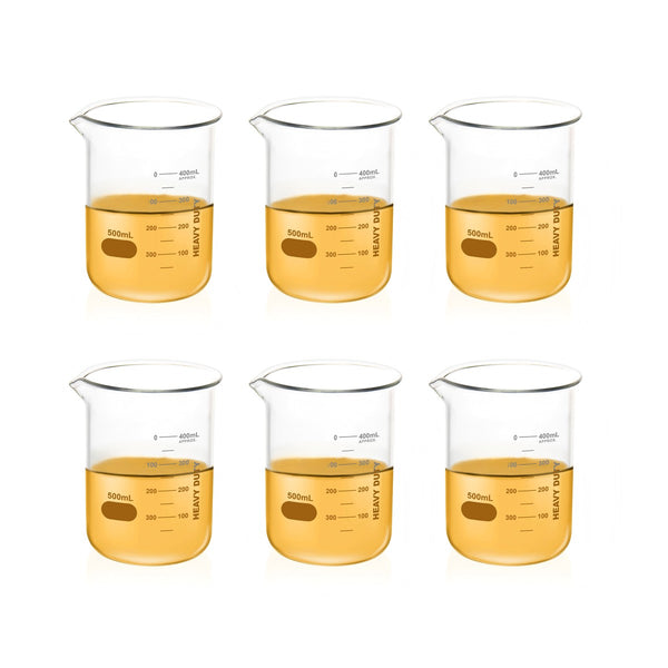Citotest Glass Beaker Set – 500ml