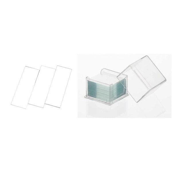 BP LabLine Microscope Slide & Cover Glass Set