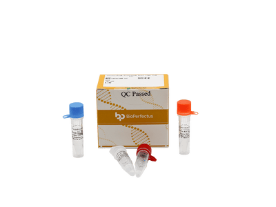 BioPerfectus Clostridium Botulinum Real Time PCR Kit