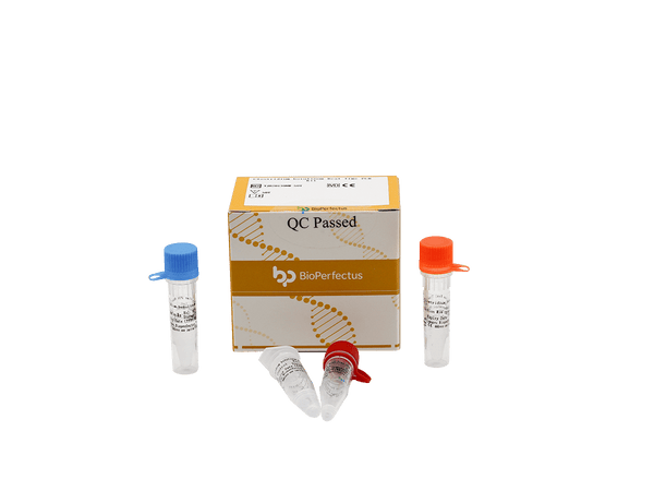 BioPerfectus Clostridium Botulinum Real Time PCR Kit