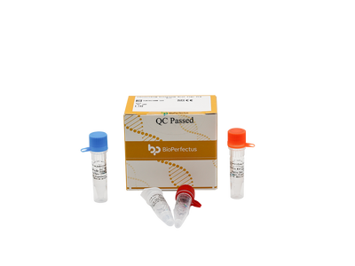 Clostridium botulinum Real Time PCR Kit