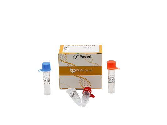 Clostridium botulinum Real Time PCR Kit