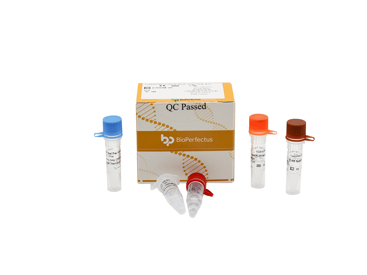 BioPerfectus CoxA16/EV71/EV-U Real Time PCR Kit