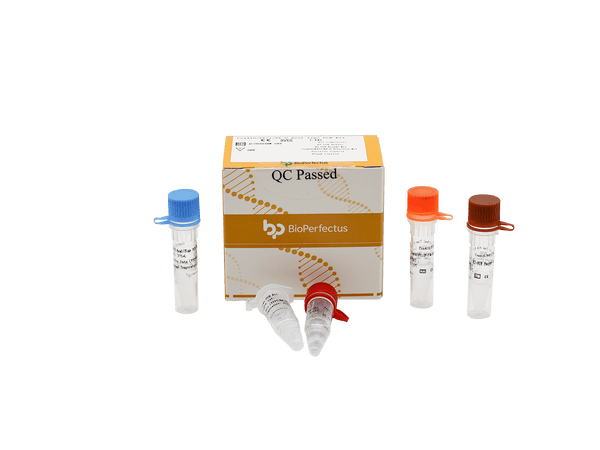 BioPerfectus CoxA16/EV71/EV-U Real Time PCR Kit