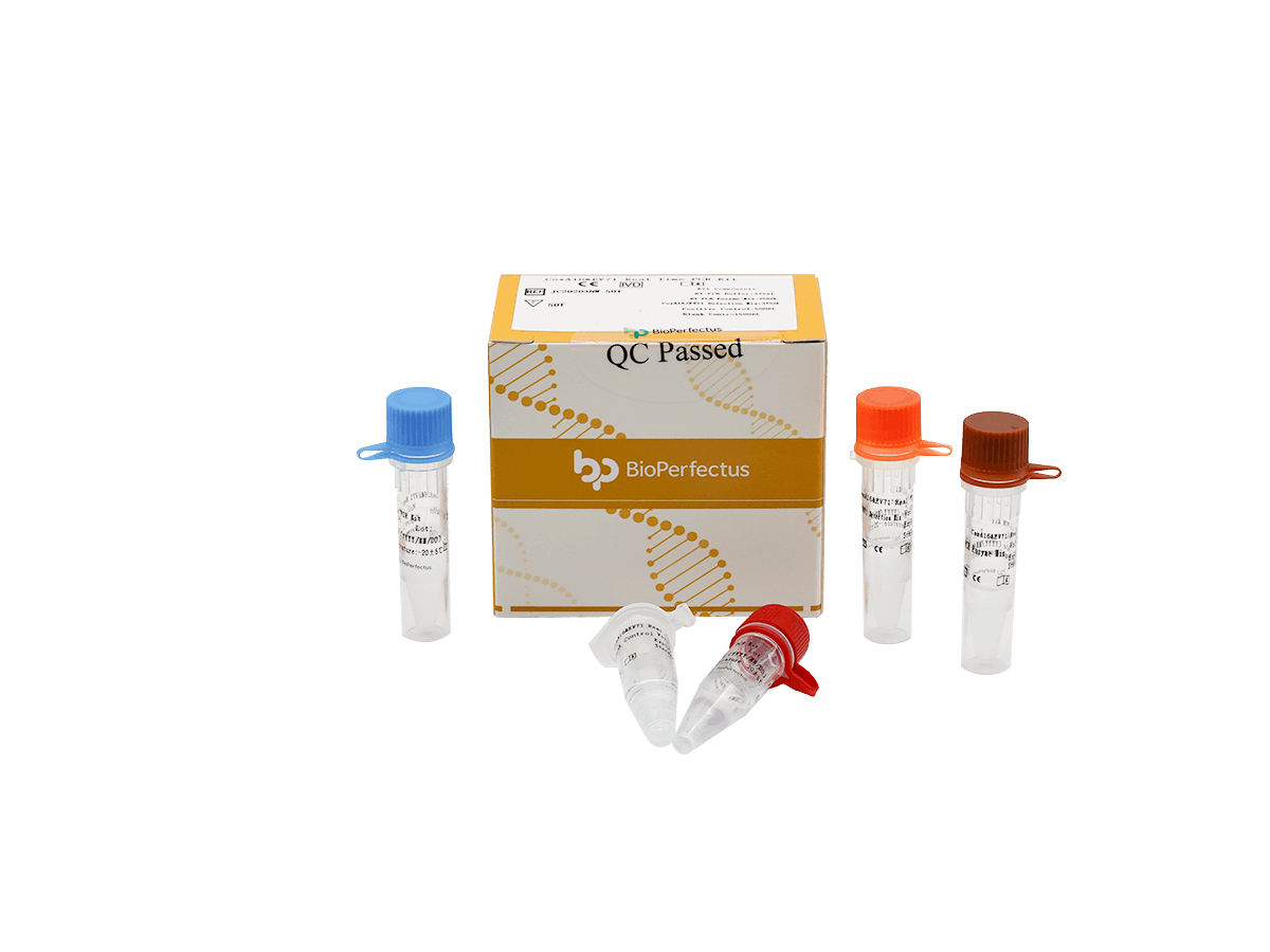 BioPerfectus CoxA16 & EV71 Real Time PCR Kit