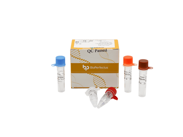 BioPerfectus CoxA16 & EV71 Real Time PCR Kit