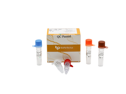CoxA16/EV71/EV-U Real Time PCR Kit