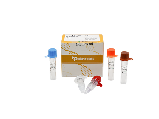 CoxA16 & EV71 Real Time PCR Kit