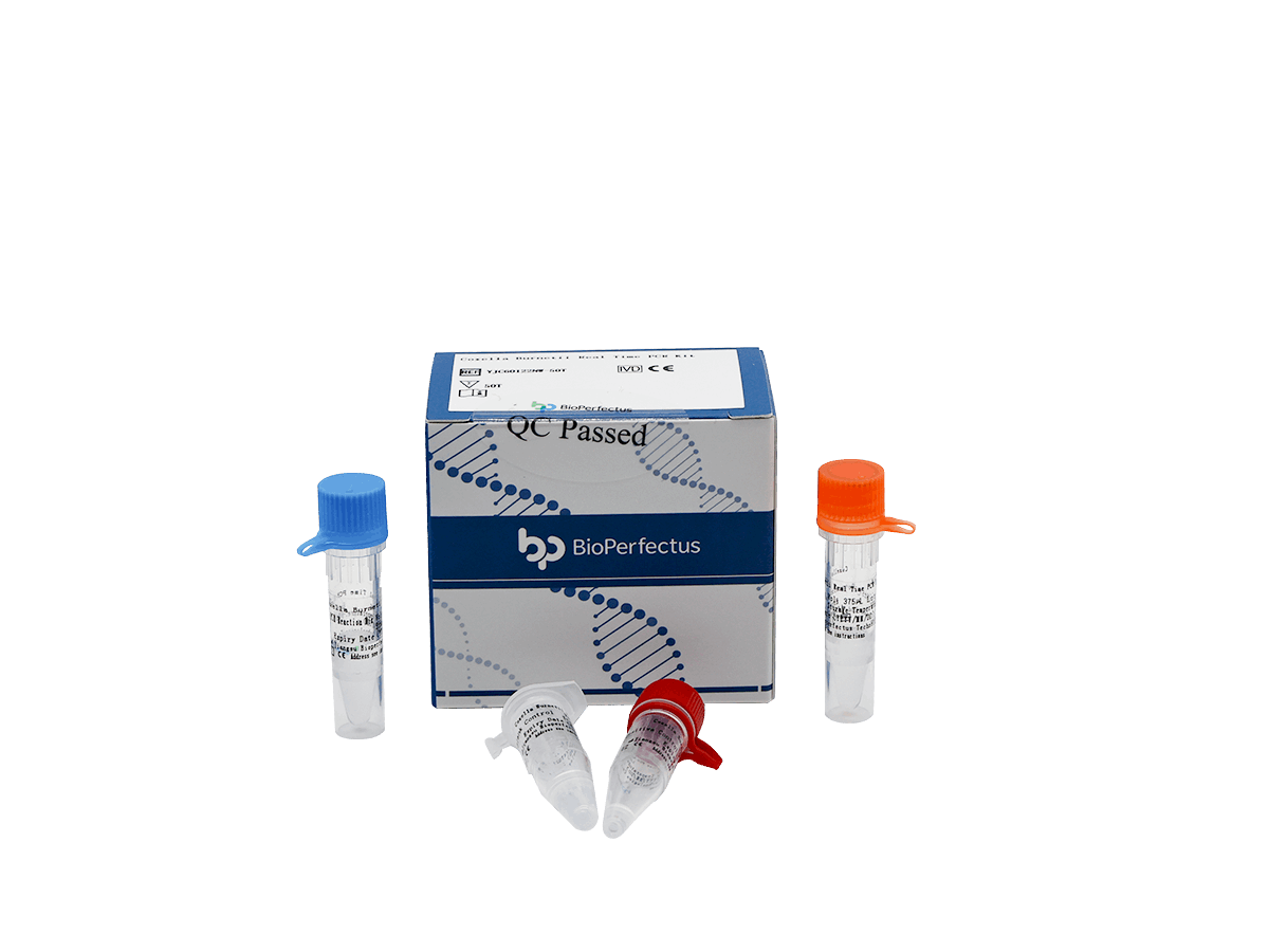 BioPerfectus Coxiella Burnetii Real Time PCR Kit