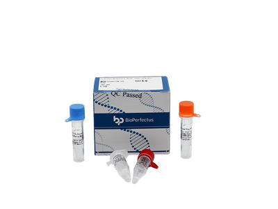 BioPerfectus Coxiella Burnetii Real Time PCR Kit