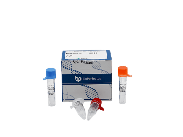 BioPerfectus Coxiella Burnetii Real Time PCR Kit