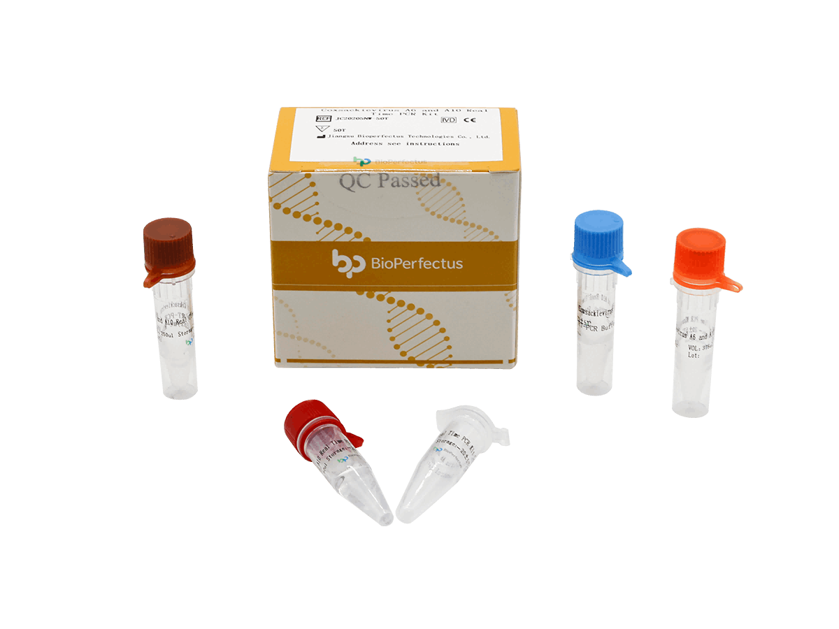 BioPerfectus Coxsackievirus A6 and A10 Real-Time PCR Kit