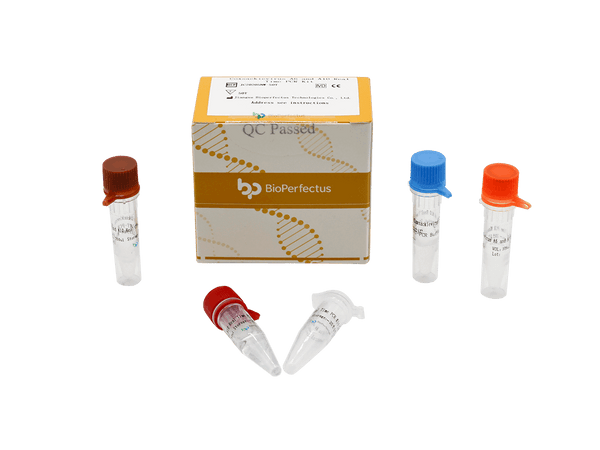 BioPerfectus Coxsackievirus A6 and A10 Real-Time PCR Kit