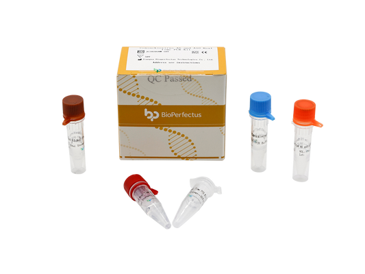 Coxsackievirus A6 and A10 Real-Time PCR Kit