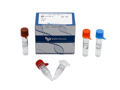 BioPerfectus Crimean-Congo Hemorrhagic Fever Virus Real Time PCR Kit