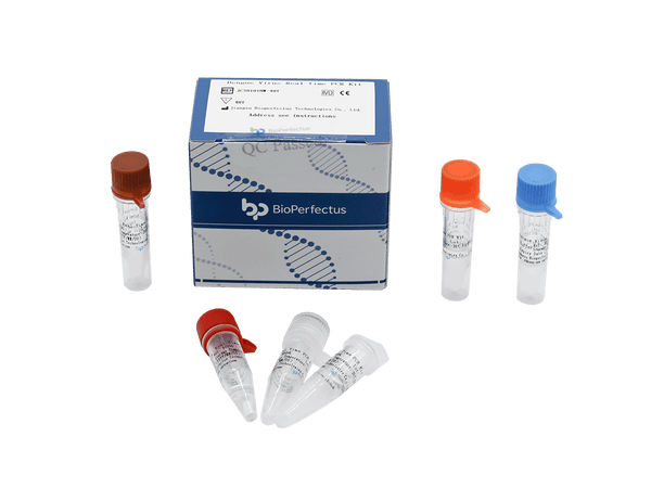 BioPerfectus Dengue Virus Real Time PCR Kit