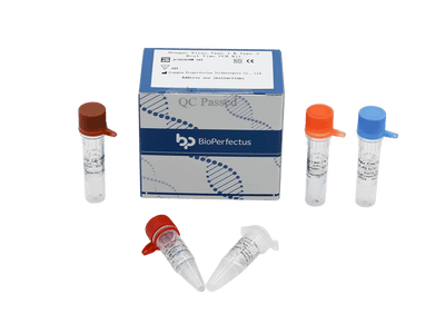 BioPerfectus Dengue Virus Type 1 & Type 2 Real Time PCR Kit