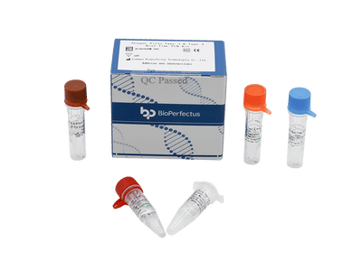 BioPerfectus Dengue Virus Type 3 & Type 4 Real Time PCR Kit