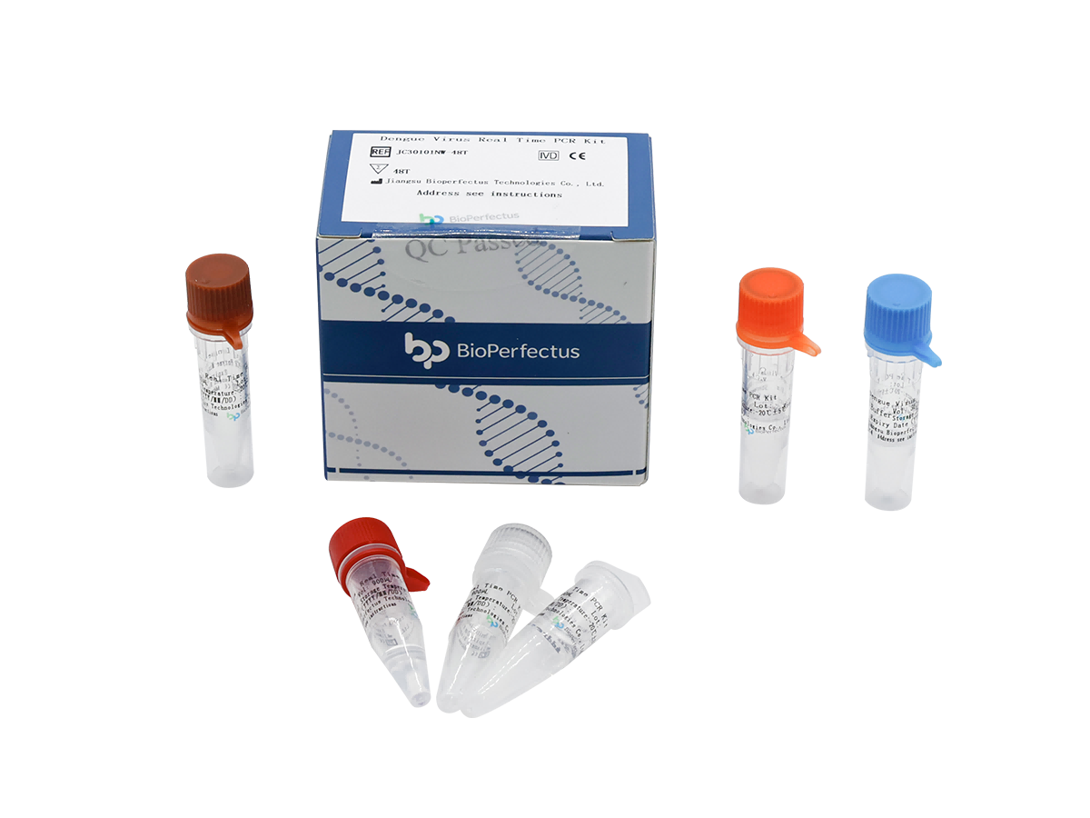 Dengue Virus Real Time PCR Kit