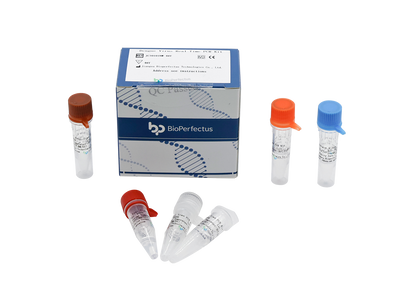 Dengue Virus Real Time PCR Kit