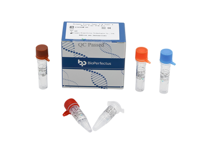Dengue Virus Type 3 & Type 4 Real Time PCR Kit