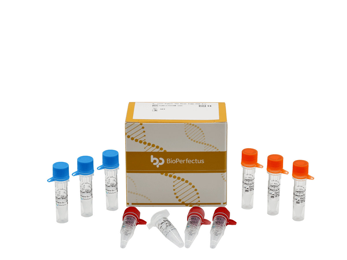 BioPerfectus E. coli Pathotyping (5) Real Time PCR Kit
