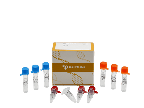 BioPerfectus E. coli Pathotyping (5) Real Time PCR Kit