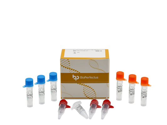 E. coli Pathotyping (5) Real Time PCR Kit