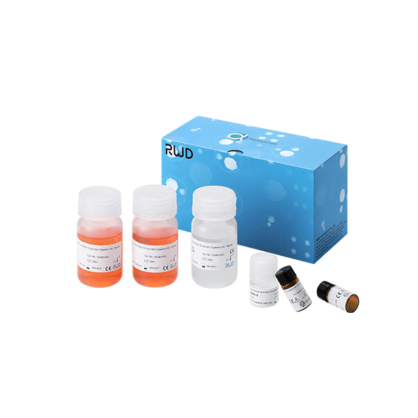 RWD High Activity Adult Brain Enzymatic Digestion Kit (Mouse and Rat)