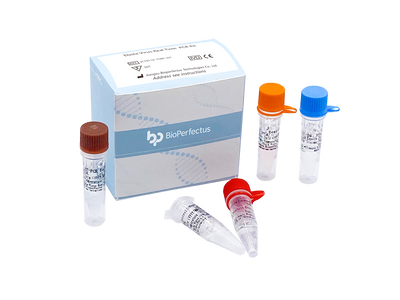 Ebola Virus Real Time PCR Kit