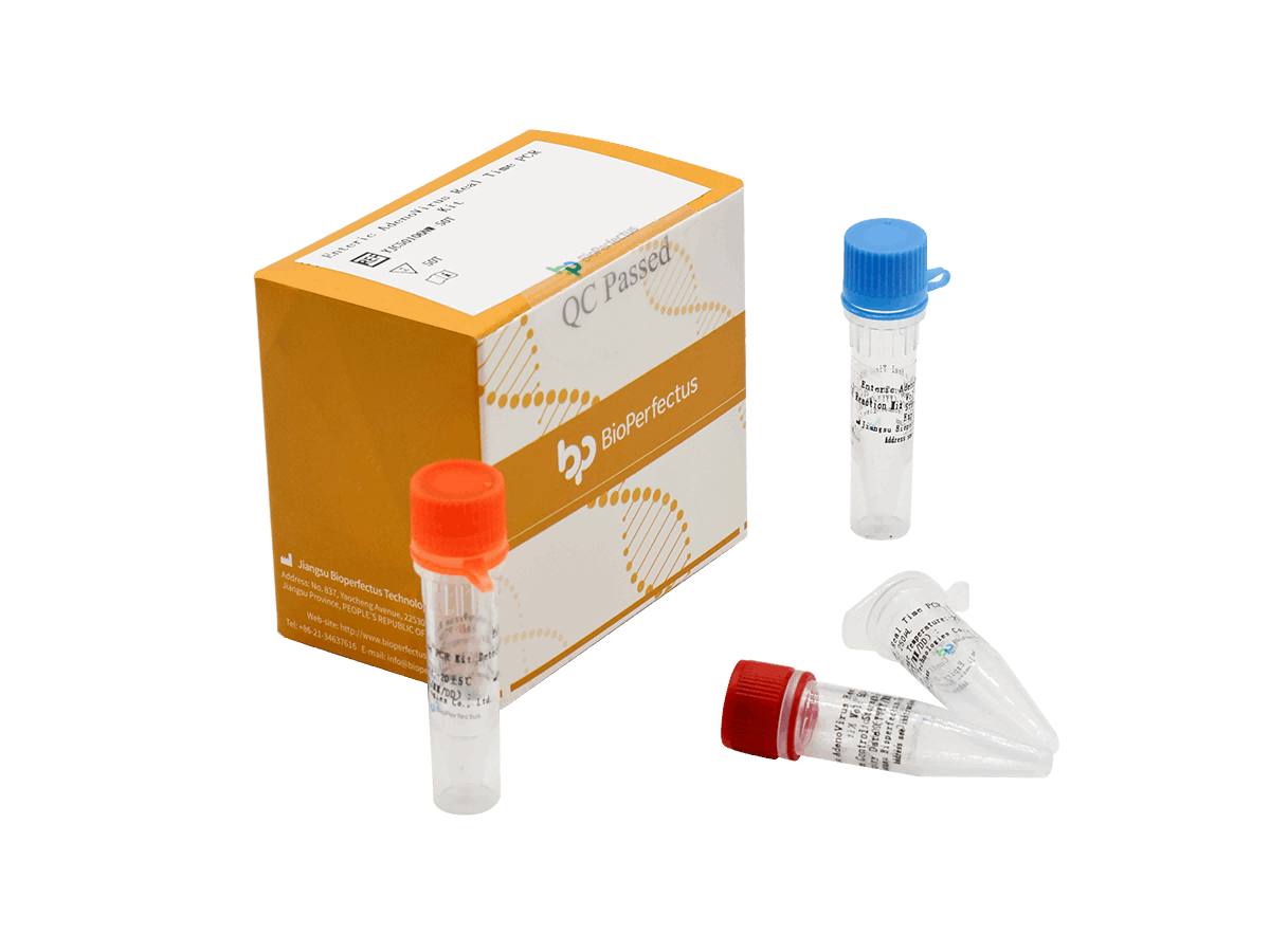 BioPerfectus Enteric Adenovirus Real Time PCR Kit