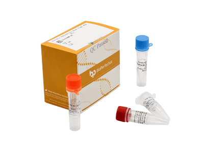 BioPerfectus Enteric Adenovirus Real Time PCR Kit