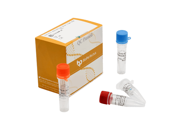 BioPerfectus Enteric Adenovirus Real Time PCR Kit