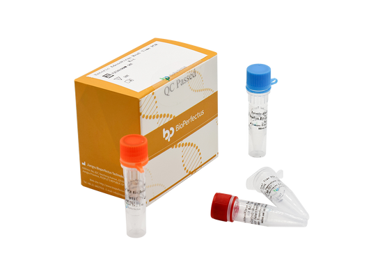 Enteric Adenovirus Real Time PCR Kit